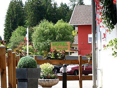 Logis Hotel & Restaurant Les Perce-Neige Bonnetage
